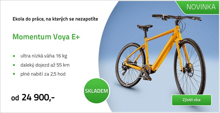 Momentum Voya E+