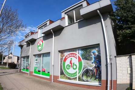 6. Pojistné podmínky