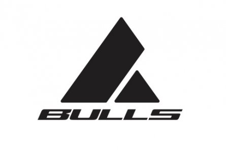 Bulls